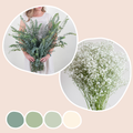 Baby Eucalyptus and Baby's Breath Mixed Box