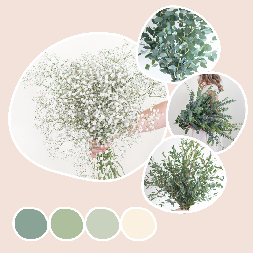 Eucalyptus Mix and Baby's Breath Mixed Box