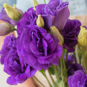 Build Your Own Wildflower Box (10 bunch minimum)