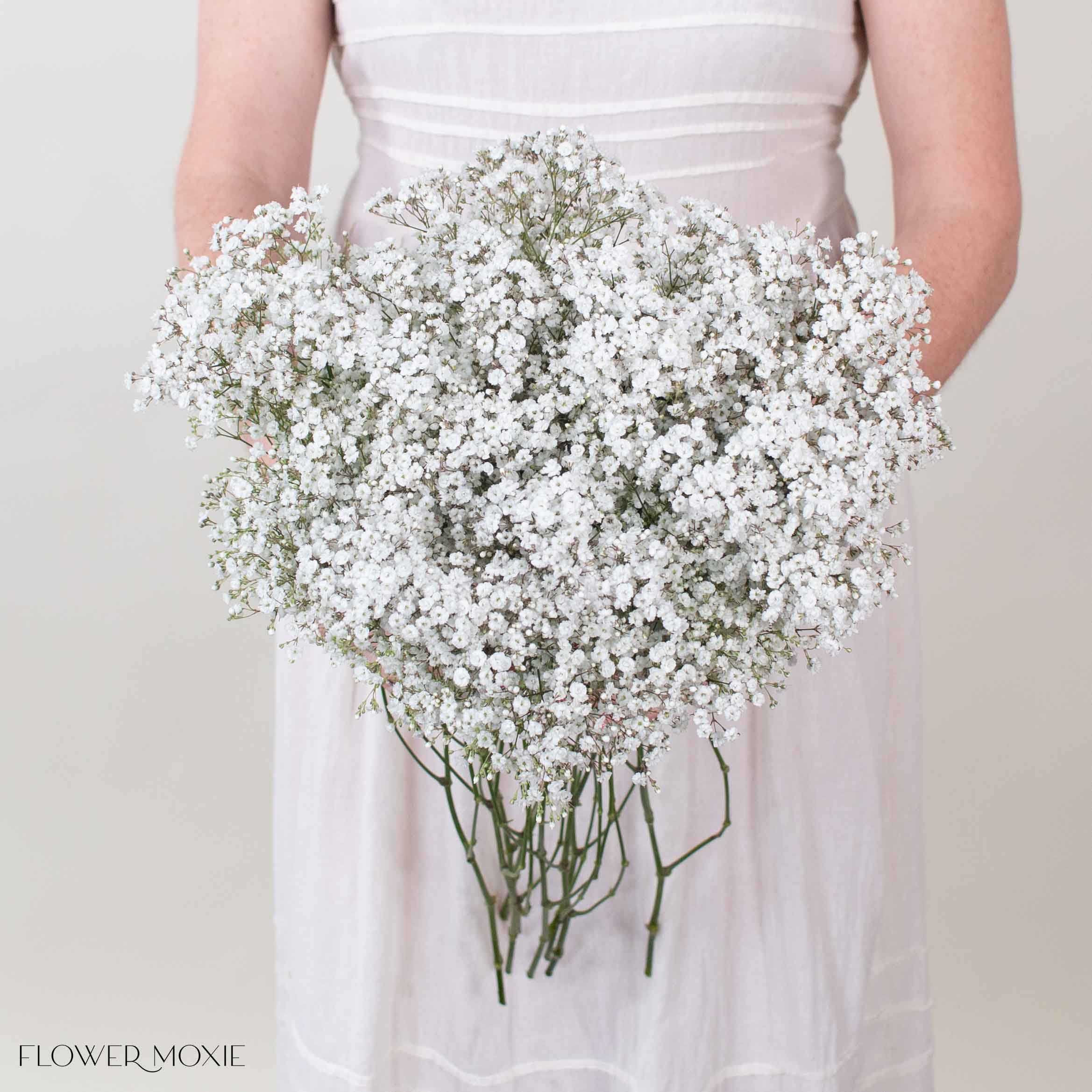 Small Million Star Baby's Breath Flower