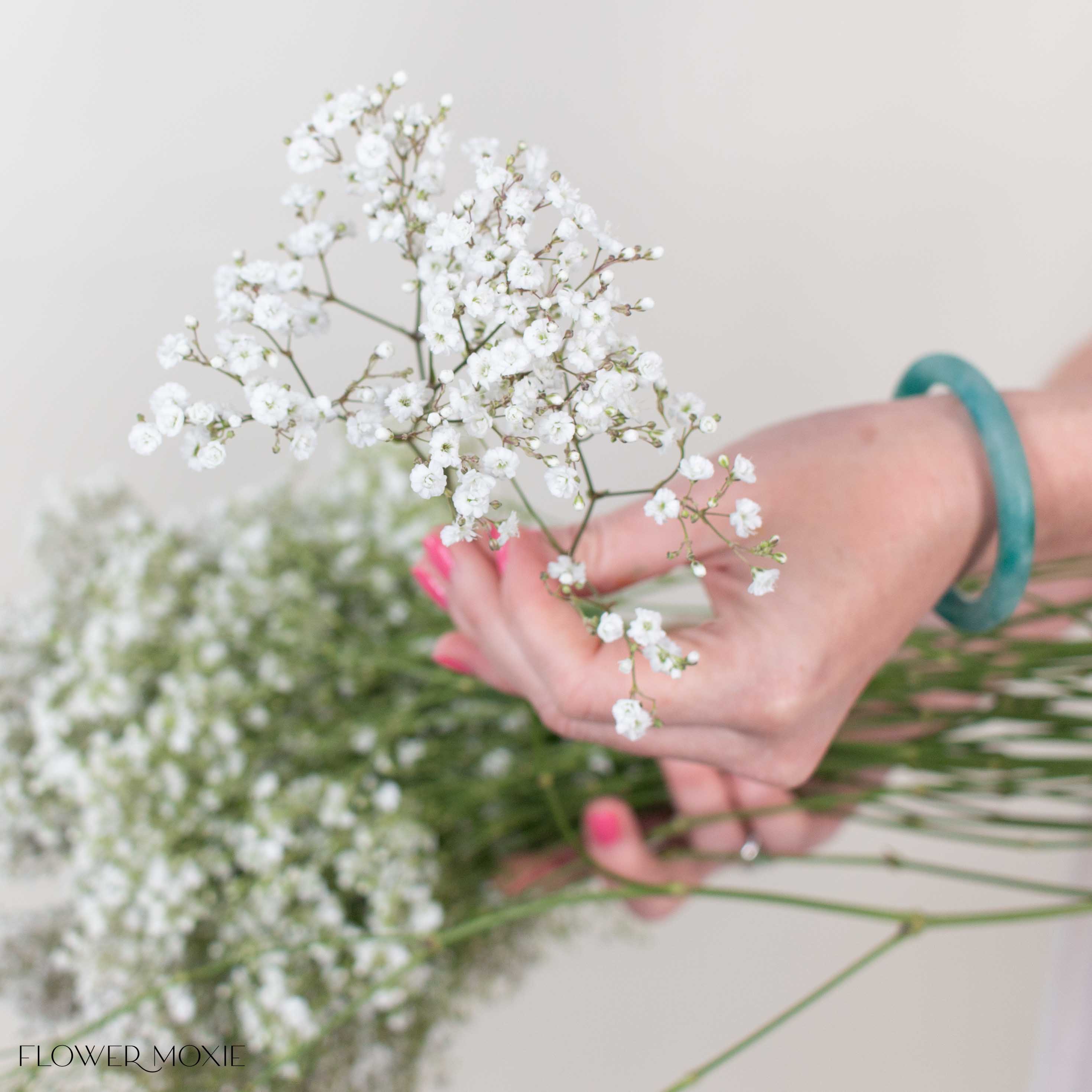 Small Million Star Baby's Breath Flower