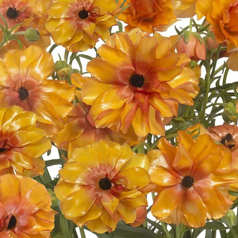 Build Your Own Wildflower Box (10 bunch minimum)
