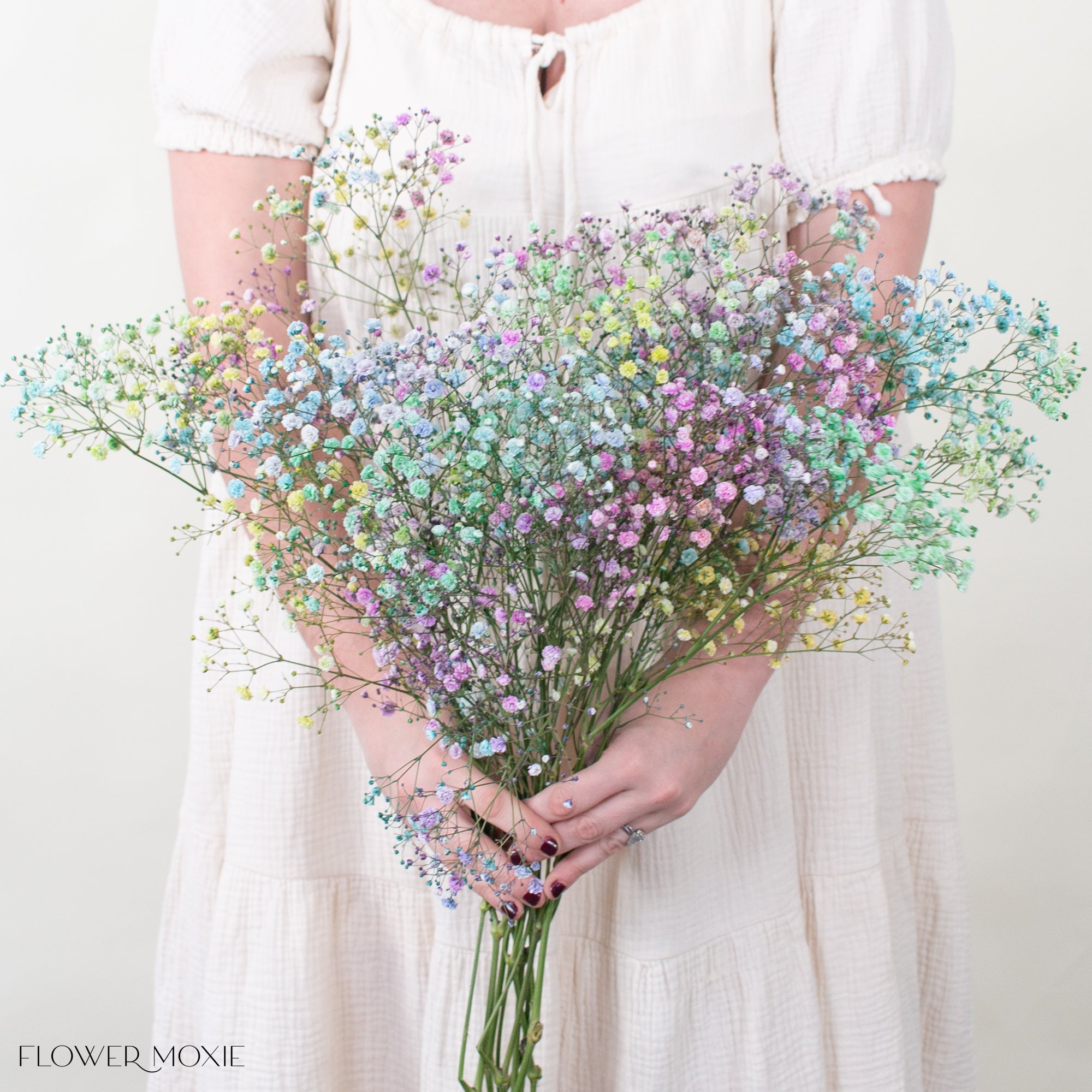 Tinted Rainbow Baby's Breath Flower