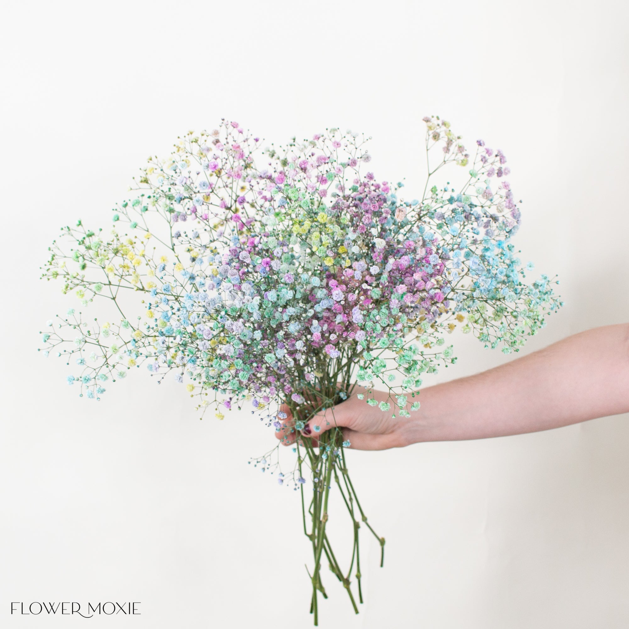 Tinted Rainbow Baby's Breath Flower